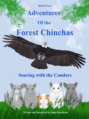 cover image of Soaring With the Condors